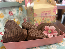 Chocolate dipped apple slices!