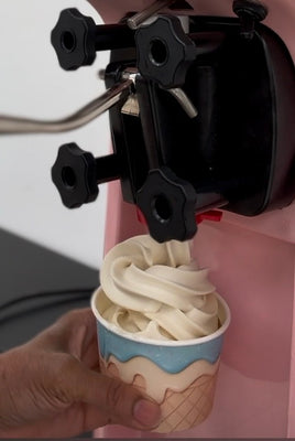 Ice Cream Flight!